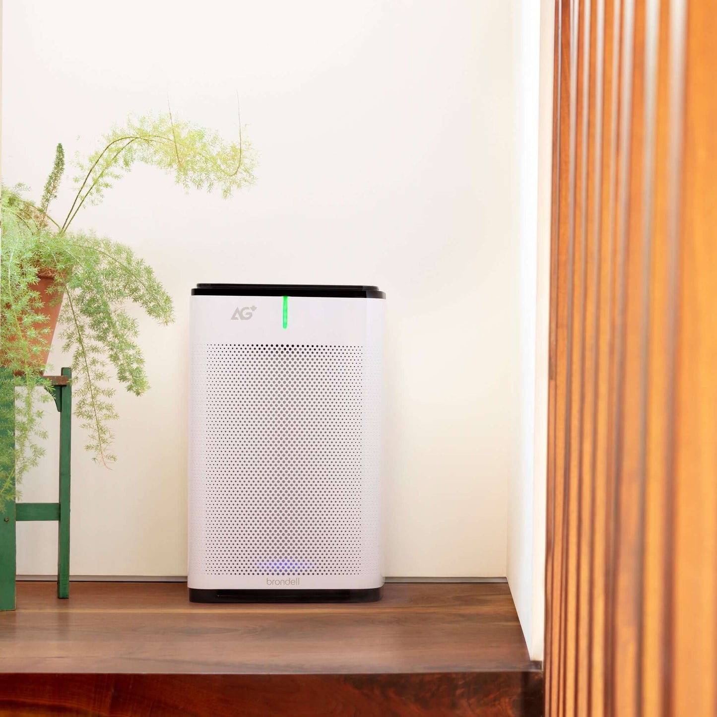 Brondell Pro Sanitizing Air Purifier with AG+ Technology for Purification of SARS-CoV-2, Virus, Bacteria and Allergens - front view in a room by a plant