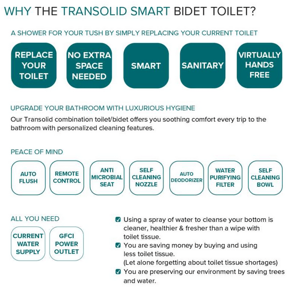 Ginger TL-77780-A Elongated Smart Bidet Toilet - features listed