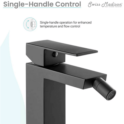 Concorde Bidet Faucet - side angled view in color black with features listed
