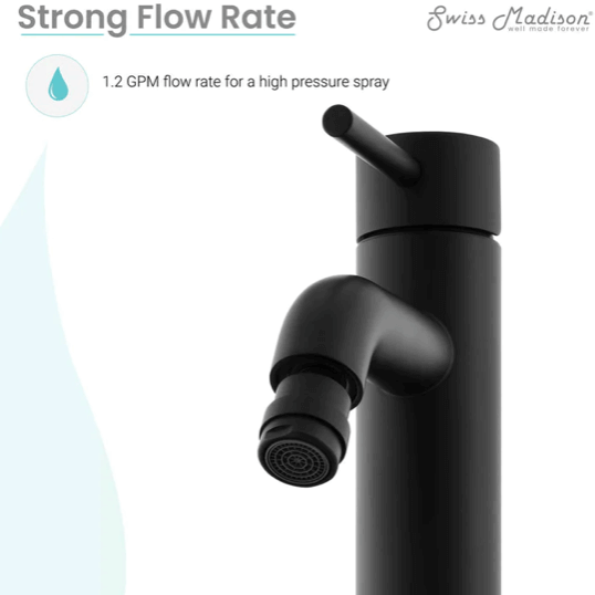 Ivy Bidet Faucet - front view in color black with features listed