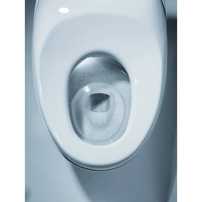 Neorest NX1 Dual Flush Bidet Toilet - top view with lid open